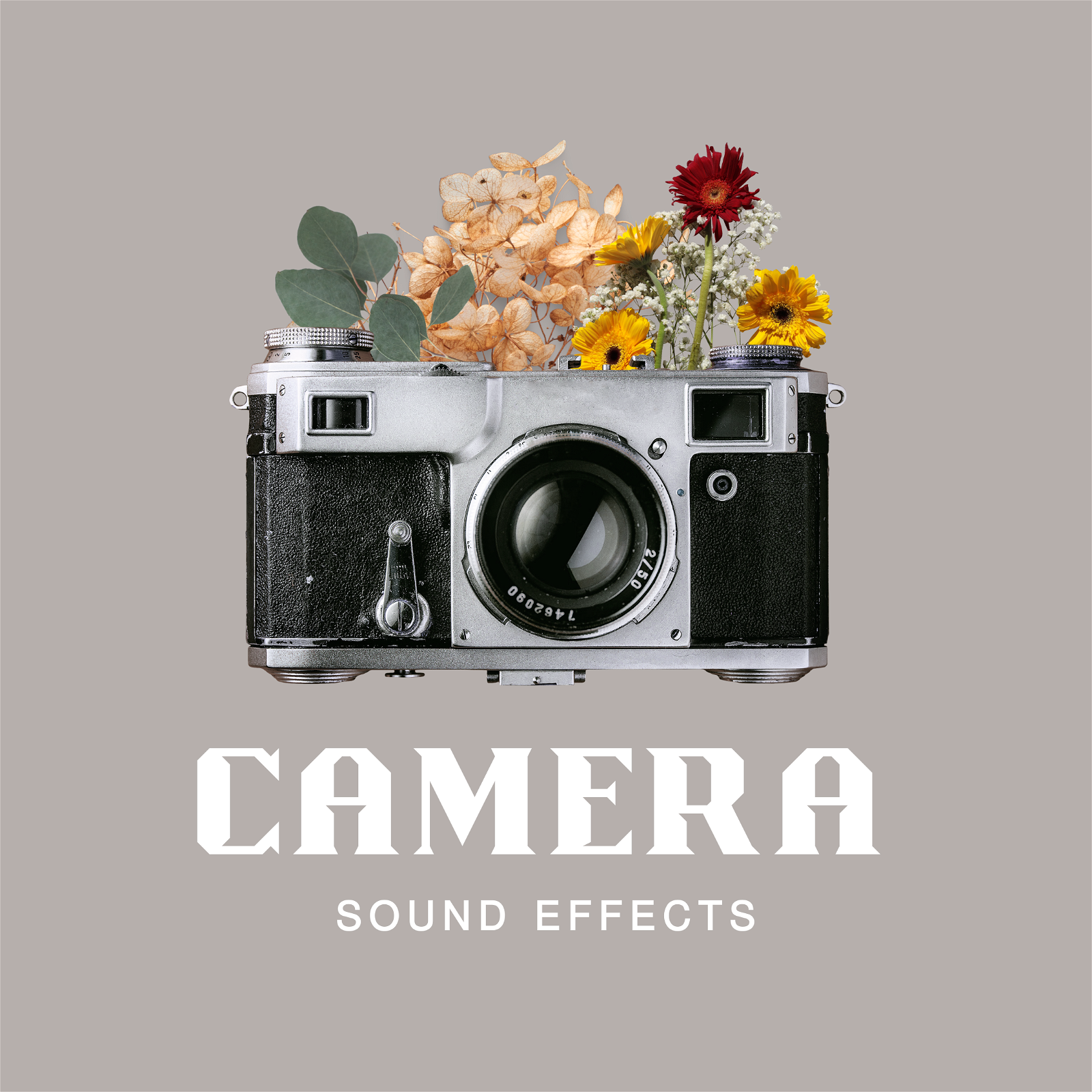 camera sounds